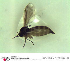 �����������������C���[�W