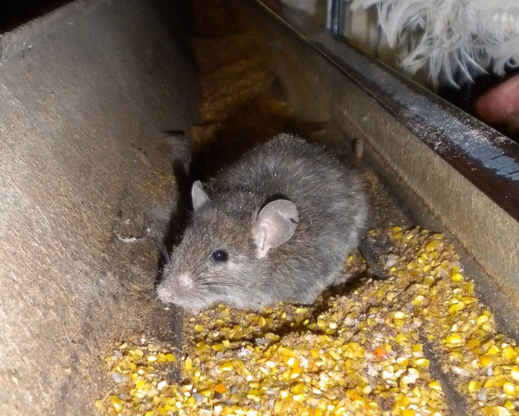 �����������������C���[�W